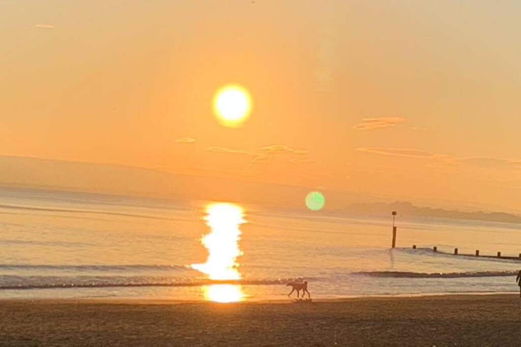 Bournemouth Nr Town Beach Train Coach Shops Lovely Entire Apartment Allows Quiet Good Dogs Exterior photo
