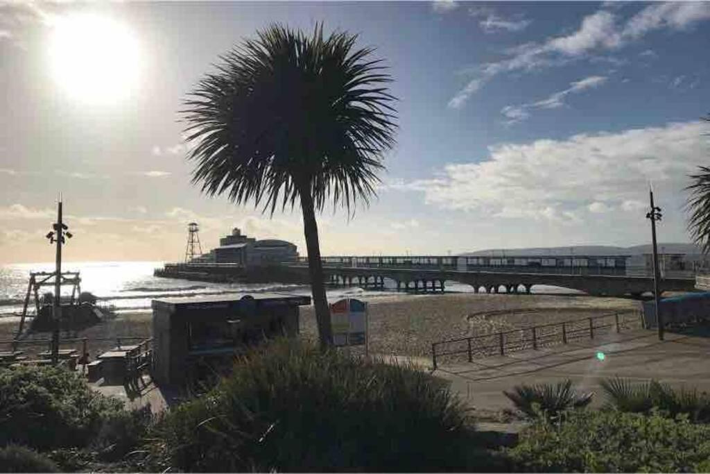 Bournemouth Nr Town Beach Train Coach Shops Lovely Entire Apartment Allows Quiet Good Dogs Exterior photo